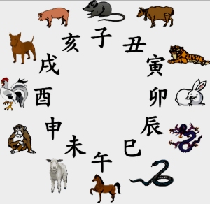 12 shengxiao