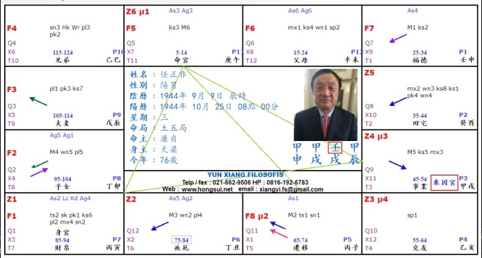 CEO Huawei Zw Chart