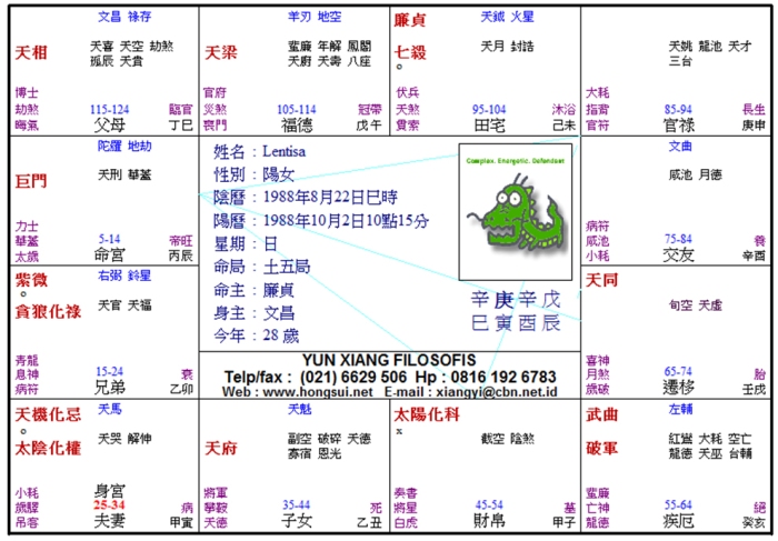 ziwei chart